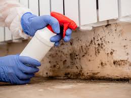 Best Mold Removal for HVAC Installations  in Raymond, WI